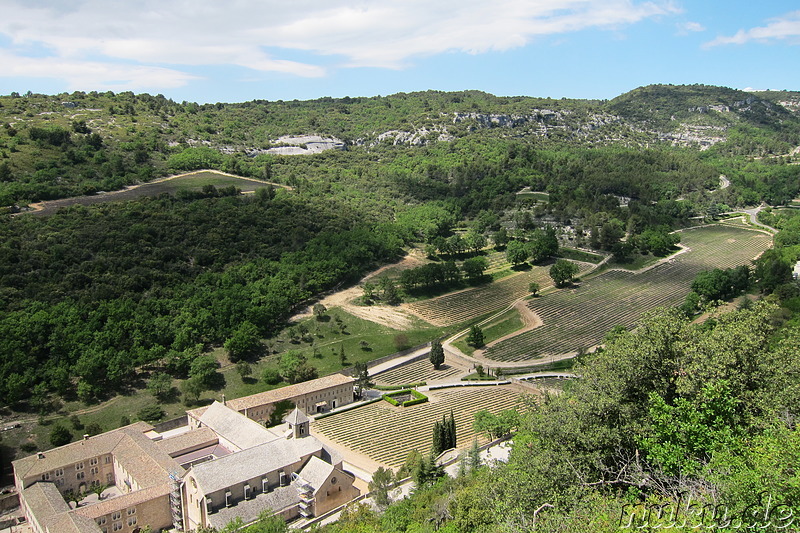 Abbaye Notre-Dame de Senanque - Kloster im Naturpark Luberon, Frankreich