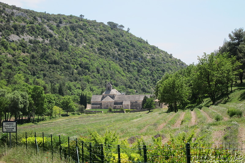 Abbaye Notre-Dame de Senanque - Kloster im Naturpark Luberon, Frankreich