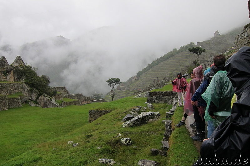 Agricultural Terraces, Machu Picchu, Peru