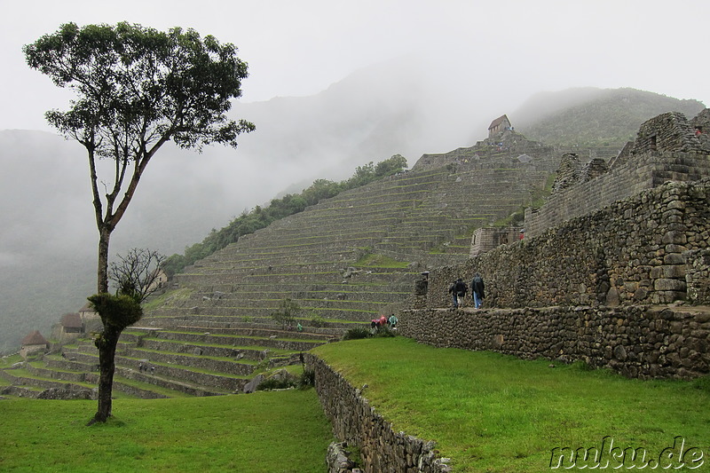 Agricultural Terraces, Machu Picchu, Peru