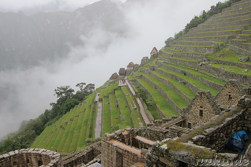 Agricultural Terraces, Machu Picchu, Peru