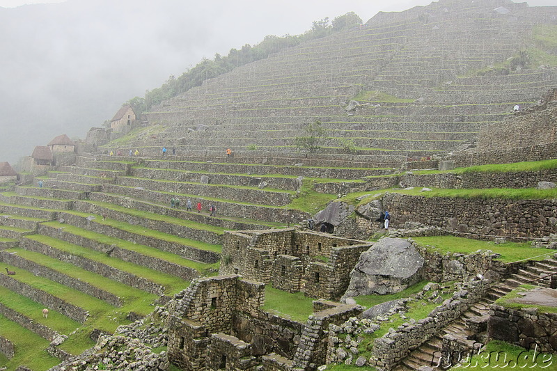 Agricultural Terraces, Machu Picchu, Peru