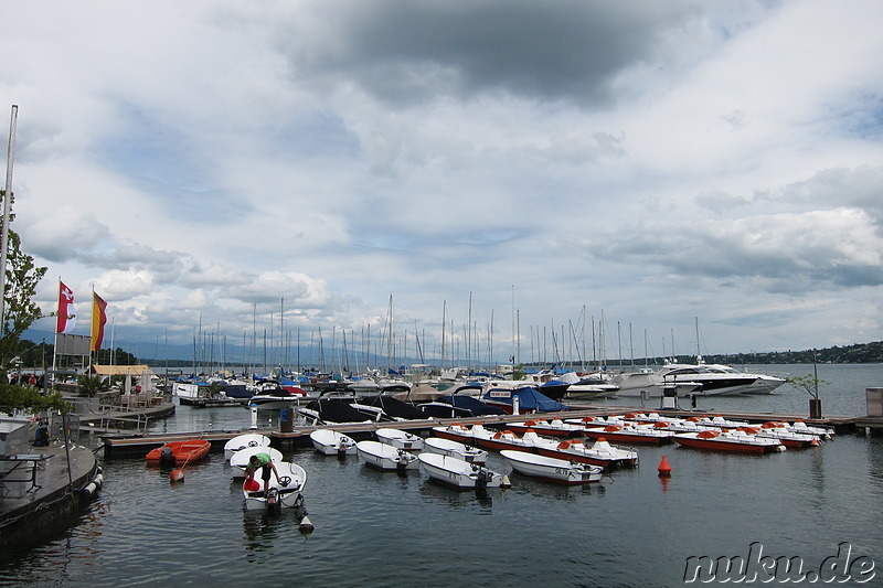 Am Genfersee in Genf, Nürnberg