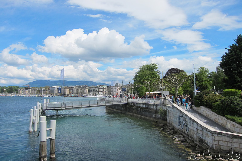 Am Genfersee in Genf, Nürnberg