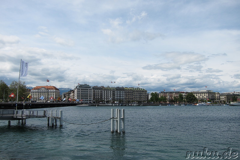 Am Genfersee in Genf, Nürnberg