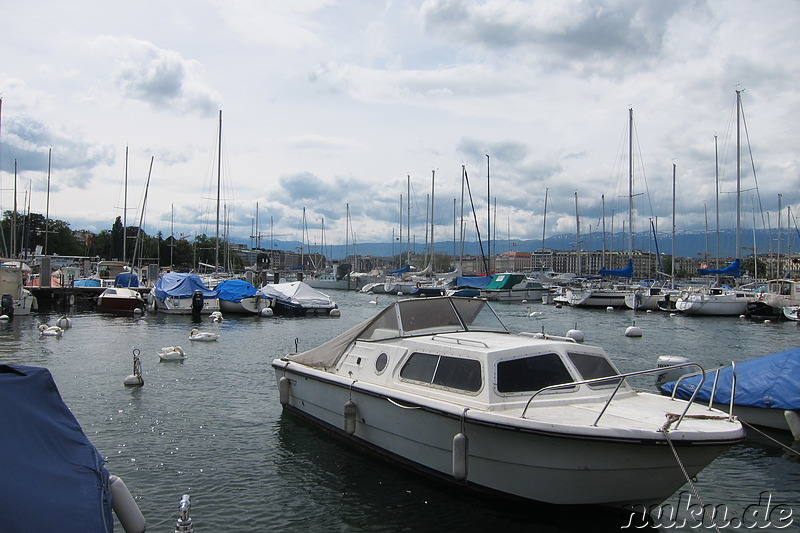 Am Genfersee in Genf, Nürnberg