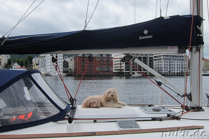 Am Hafen von Bergen, Norwegen