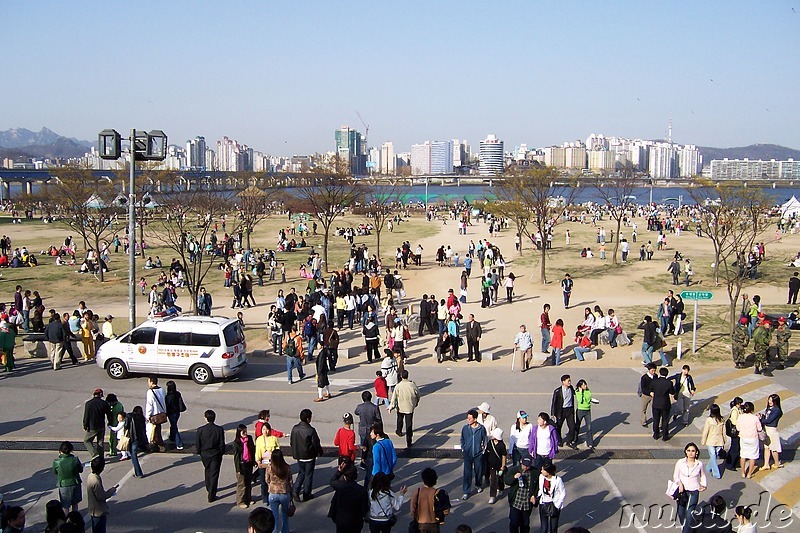 Am Hangang auf Yeouido