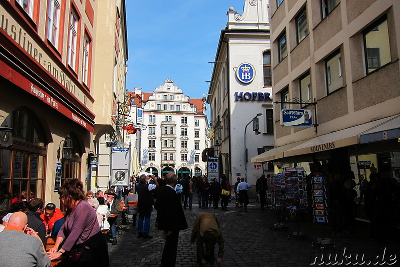 Am Hofbräuhaus in München