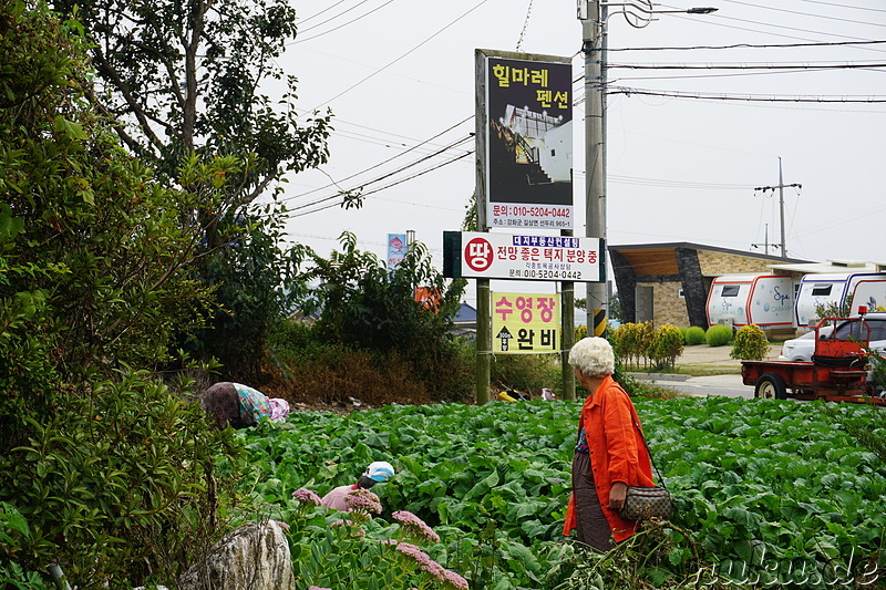 Am Restaurant Hannane (한나네) auf der Insel Ganghwado von Incheon, Korea