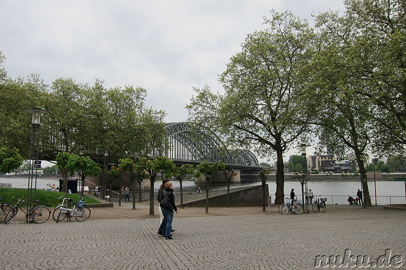 Am Rheinufer in Köln