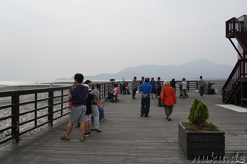 Am Seondu Orieo Markt (선두5리어시장) auf der Insel Ganghwado, Korea