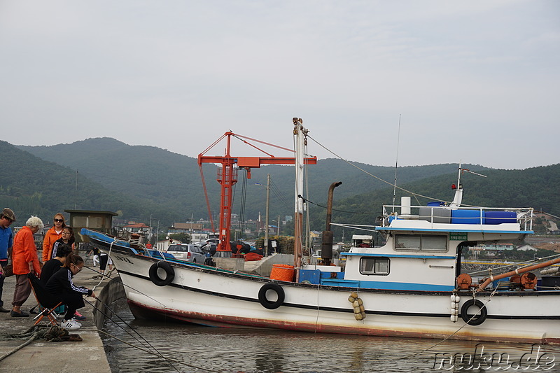 Am Seondu Orieo Markt (선두5리어시장) auf der Insel Ganghwado, Korea