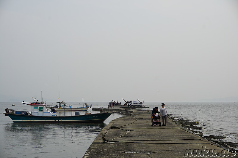 Am Seondu Orieo Markt (선두5리어시장) auf der Insel Ganghwado, Korea