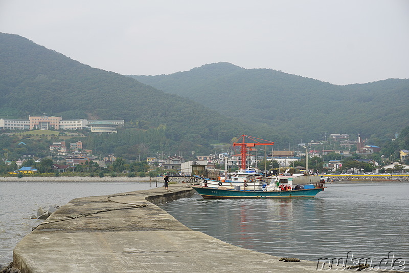 Am Seondu Orieo Markt (선두5리어시장) auf der Insel Ganghwado, Korea