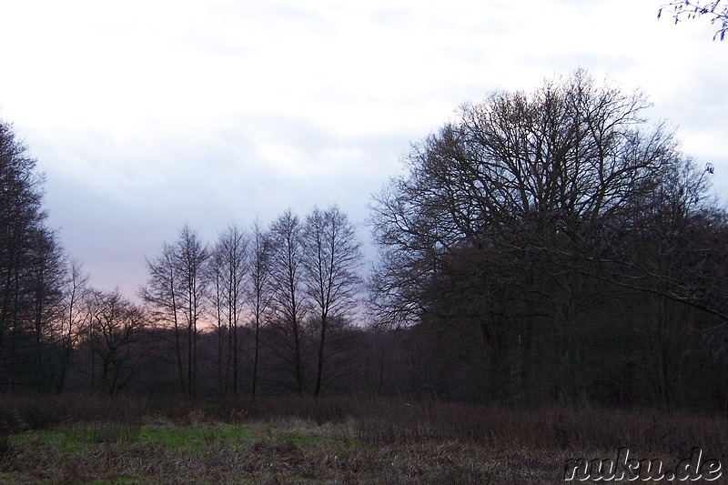 am späten Nachmittag in Wulfsen