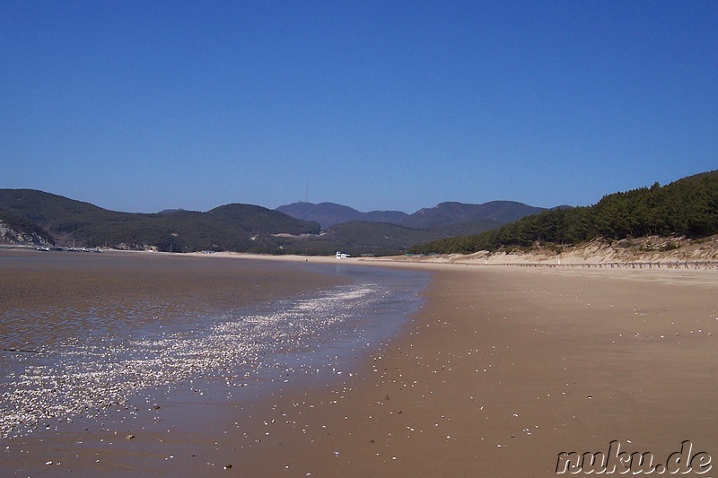 Am Strand