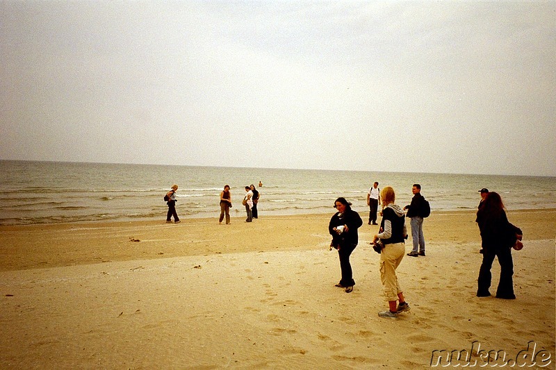 Am Strand vom Ontariosee - Lake Ontario, Kanada