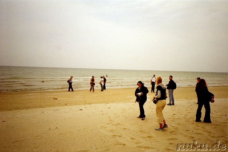 Am Strand vom Ontariosee - Lake Ontario, Kanada