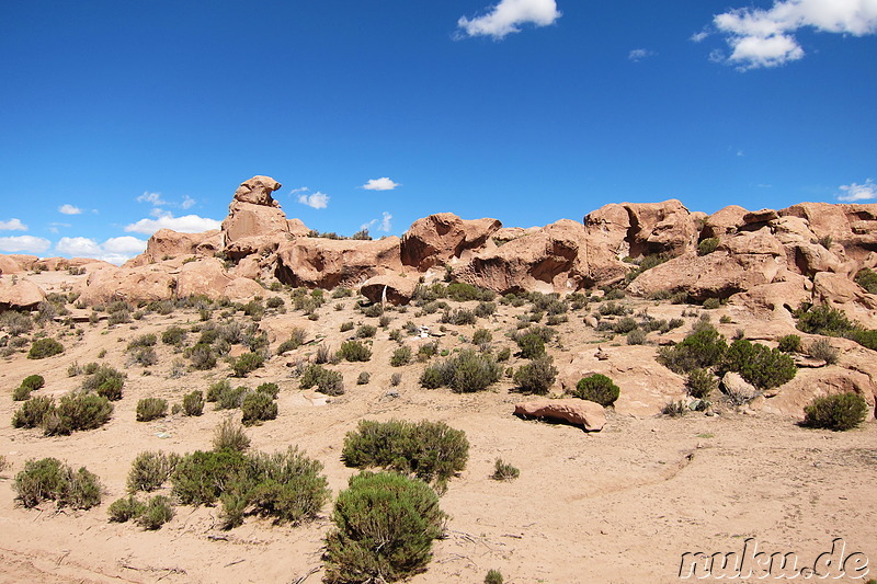 Am T-Rex-Rock, Bolivien