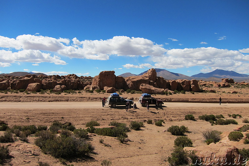 Am T-Rex-Rock, Bolivien