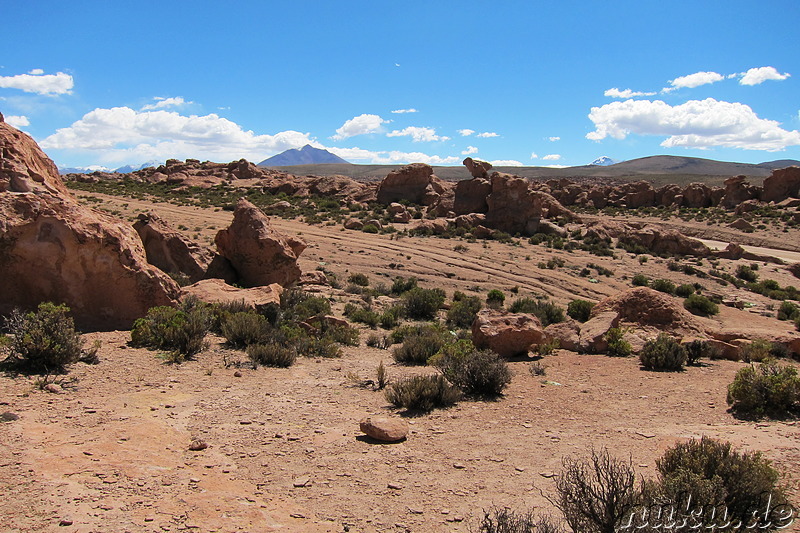 Am T-Rex-Rock, Bolivien