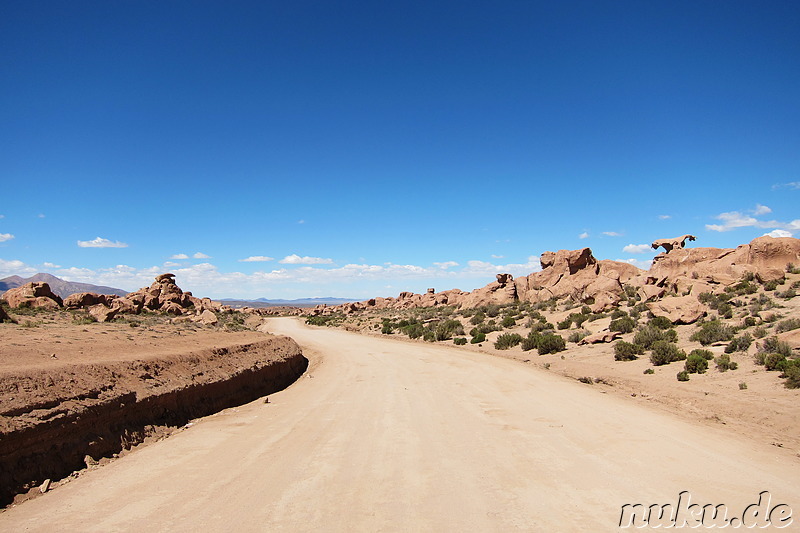 Am T-Rex-Rock, Bolivien