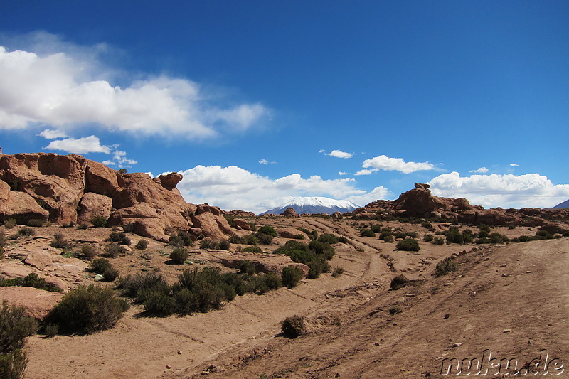 Am T-Rex-Rock, Bolivien