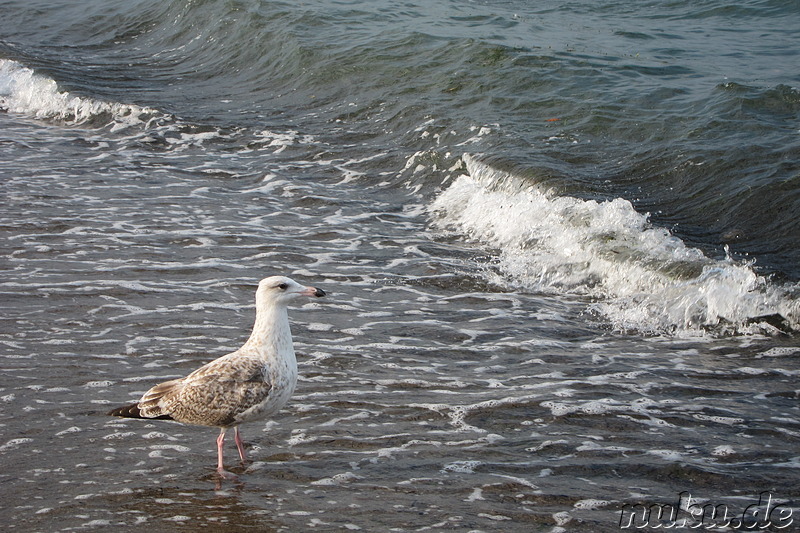 Am Timmendorfer Strand in Schleswig-Holstein