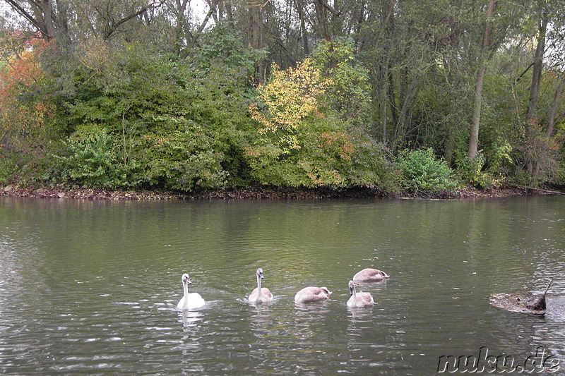 Am Wöhrder See in Nürnberg