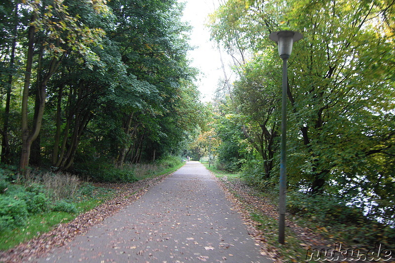 Am Wöhrder See in Nürnberg