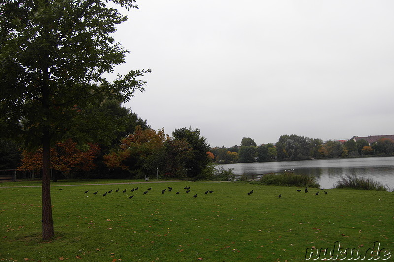 Am Wöhrder See in Nürnberg