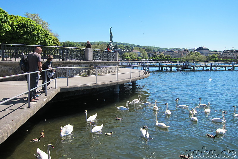 Am Zürichsee in Zürich, Schweiz