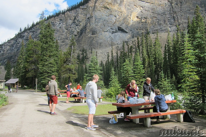 An den Takakkaw Falls - Wasserfall im Yoho National Park, Kanada