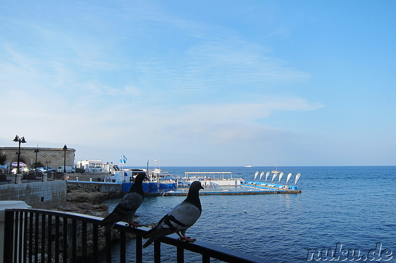 An der Meerpromenade in Sliema auf Malta