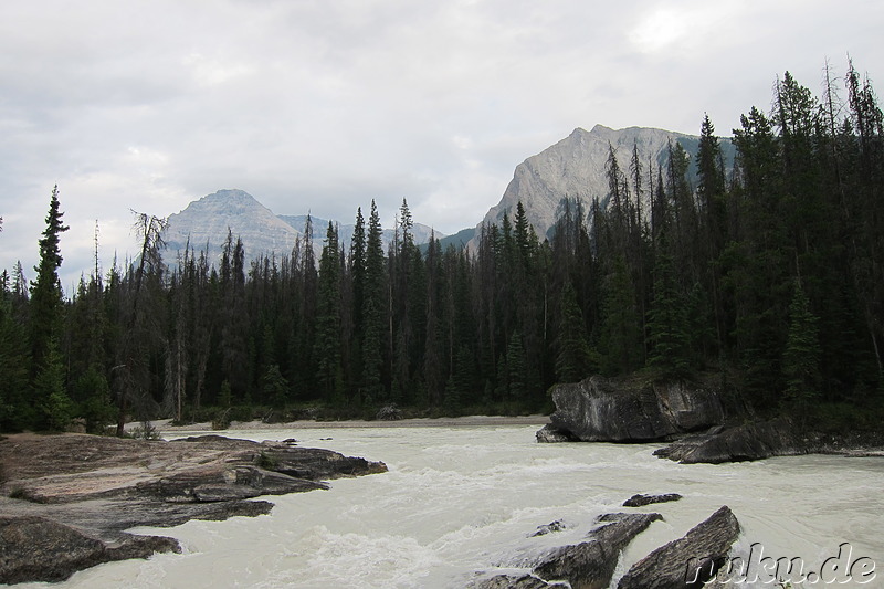 An der Natural Bridge - Natürliche Brücke aus Fels im Yoho National Park, Kanada