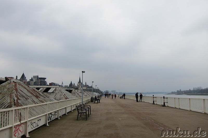 An der Schelde in Antwerpen, Belgien