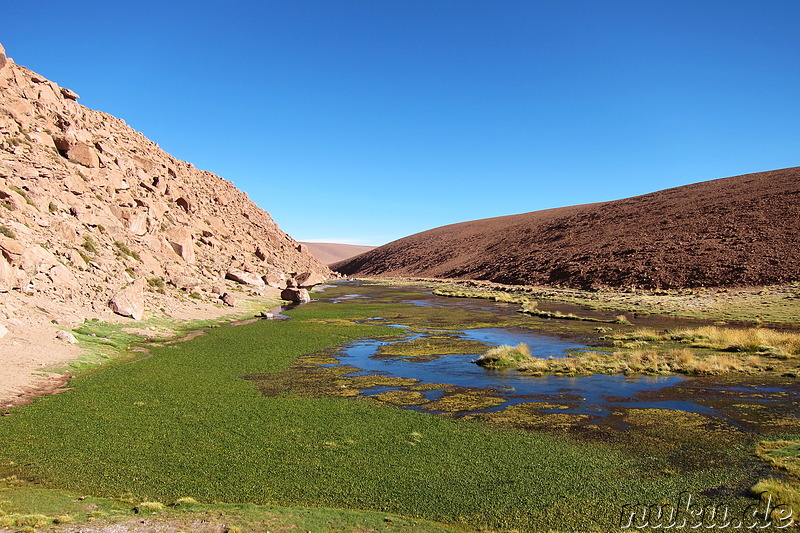 Anfahrt zum Machuca Village in der Atacamawüste, Chile