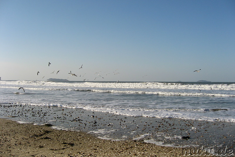 Anmyeondo