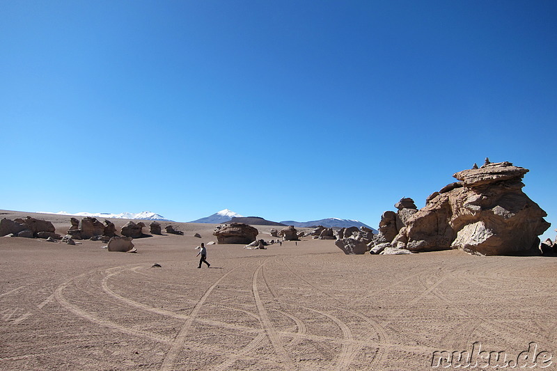 Arbol de Piedra, Bolivien