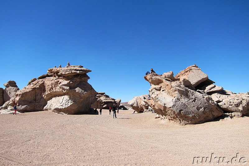 Arbol de Piedra, Bolivien