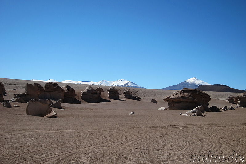 Arbol de Piedra, Bolivien