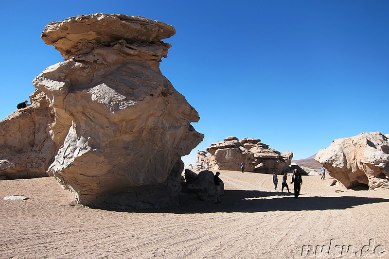 Arbol de Piedra, Bolivien