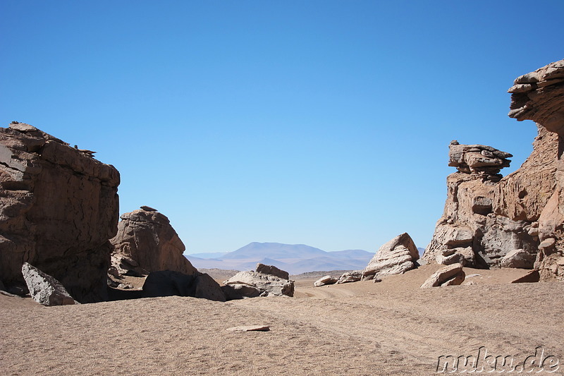 Arbol de Piedra, Bolivien