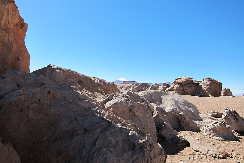 Arbol de Piedra, Bolivien