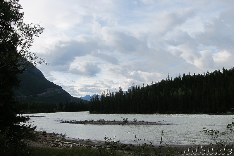 Athabasca Falls - Wasserfall im Jasper National Park, Kanada