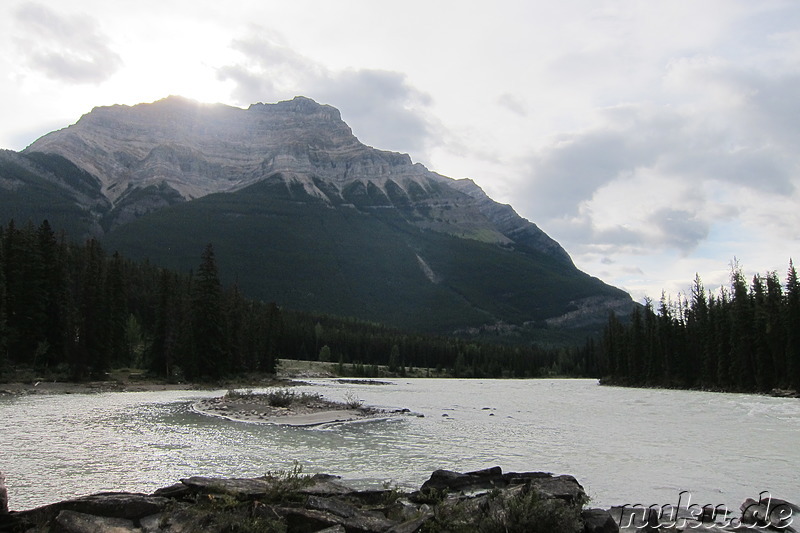 Athabasca Falls - Wasserfall im Jasper National Park, Kanada