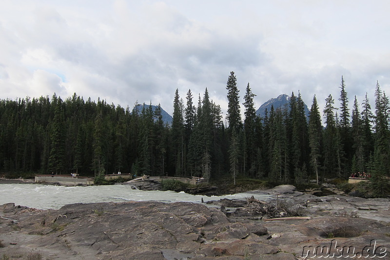 Athabasca Falls - Wasserfall im Jasper National Park, Kanada