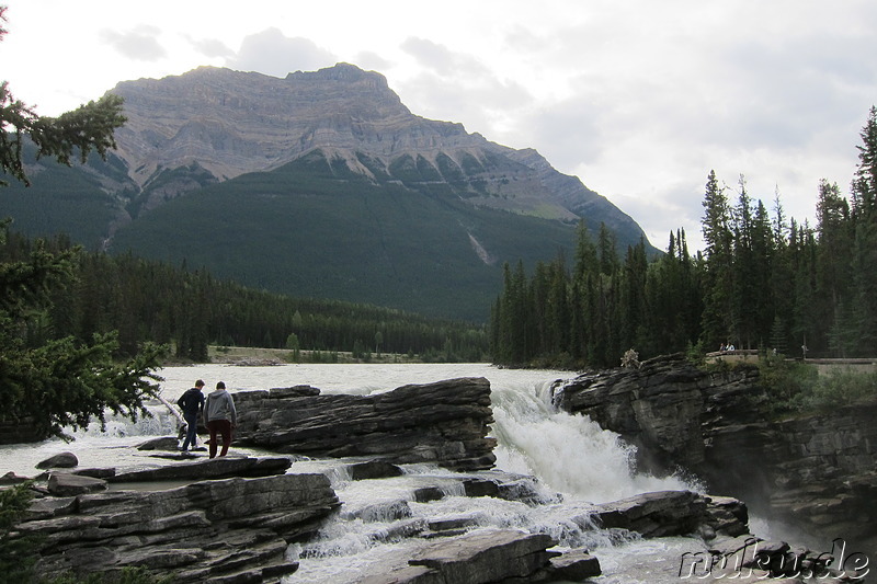 Athabasca Falls - Wasserfall im Jasper National Park, Kanada