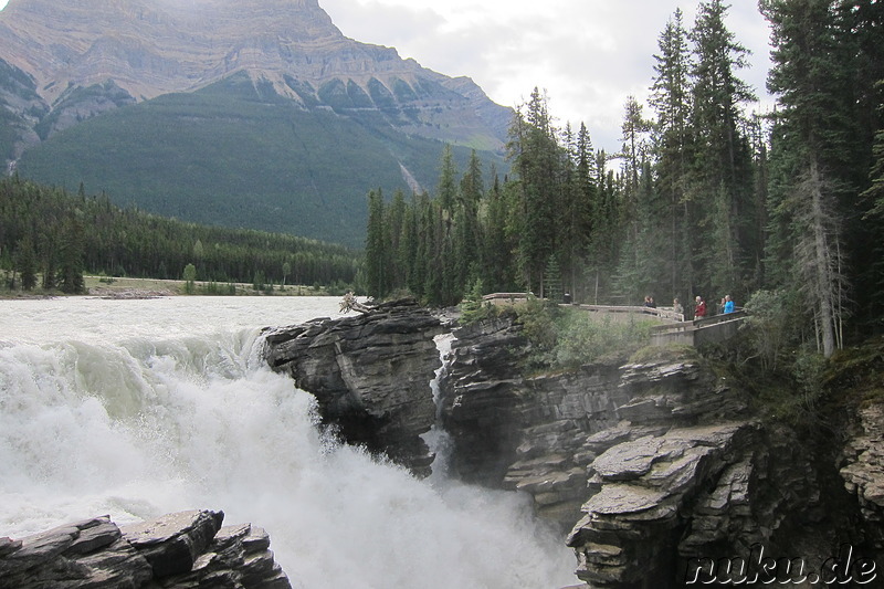 Athabasca Falls - Wasserfall im Jasper National Park, Kanada